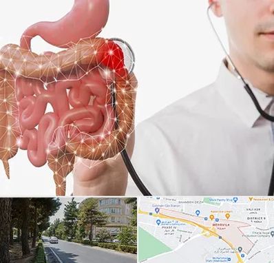 دکتر سرطان روده بزرگ در مهرویلا کرج 