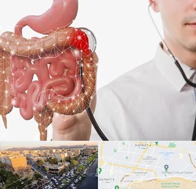 دکتر سرطان روده بزرگ در تهرانپارس 