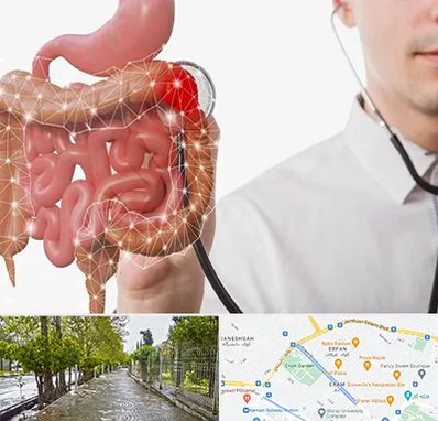 دکتر سرطان روده بزرگ در خیابان ارم شیراز 