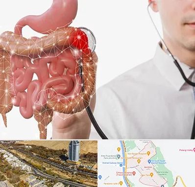 دکتر سرطان روده بزرگ در خیابان نیایش شیراز 