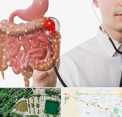 دکتر سرطان روده بزرگ در وکیل آباد مشهد 