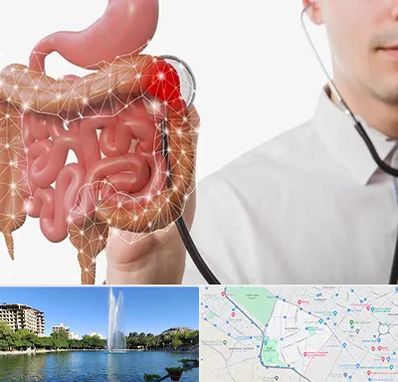 دکتر سرطان روده بزرگ در کوهسنگی مشهد 