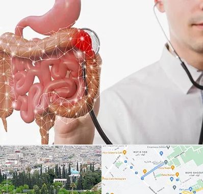 دکتر سرطان روده بزرگ در محلاتی شیراز 