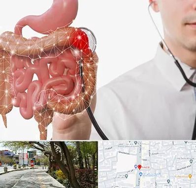 دکتر سرطان روده بزرگ در خیابان توحید اصفهان 