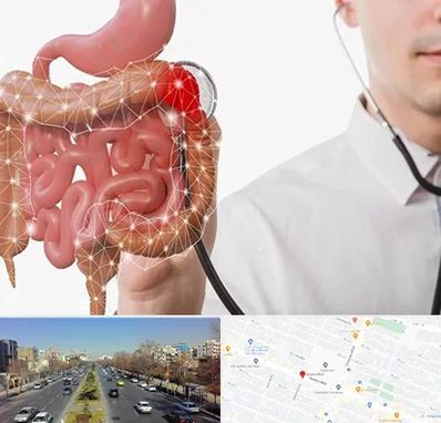 دکتر سرطان روده بزرگ در بلوار معلم مشهد 