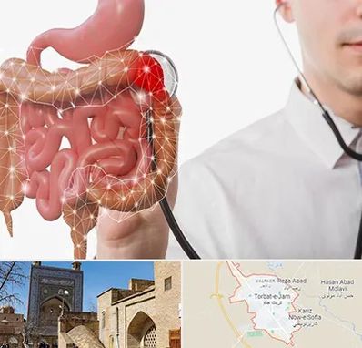 دکتر سرطان روده بزرگ در تربت جام