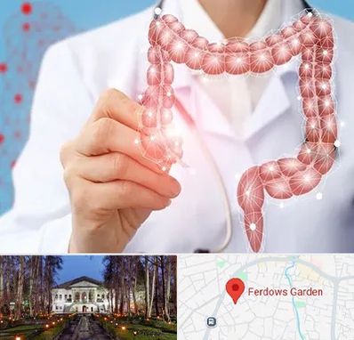 جراح سرطان روده بزرگ در باغ فردوس