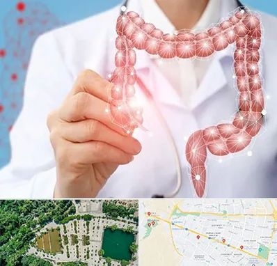 جراح سرطان روده بزرگ در وکیل آباد مشهد 