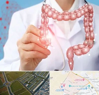 جراح سرطان روده بزرگ در الهیه مشهد 