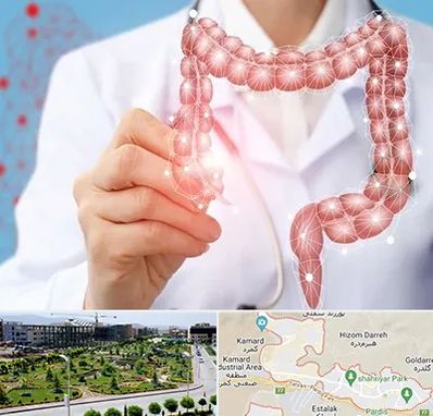 جراح سرطان روده بزرگ در پردیس