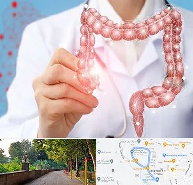 جراح سرطان روده بزرگ در بلوار گیلان رشت 