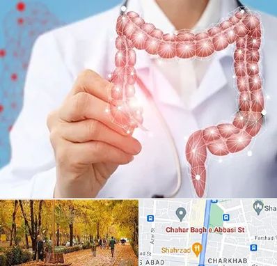 جراح سرطان روده بزرگ در چهارباغ اصفهان 