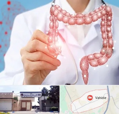 جراح سرطان روده بزرگ در وحیدیه شهریار
