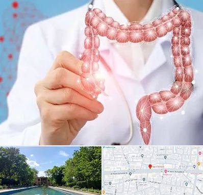 جراح سرطان روده بزرگ در هشت بهشت اصفهان 