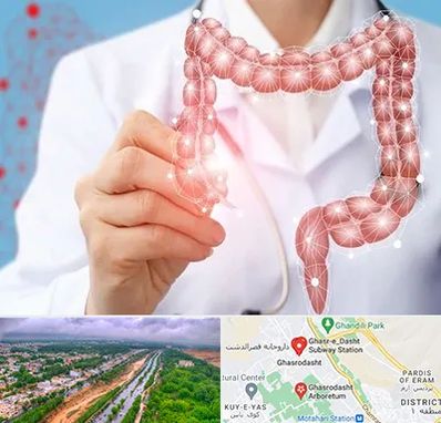 جراح سرطان روده بزرگ در قصرالدشت شیراز 