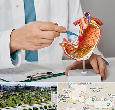 دکتر سرطان معده در پردیس