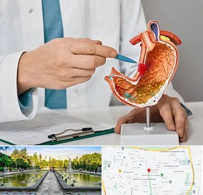 دکتر سرطان معده در سرسبز 