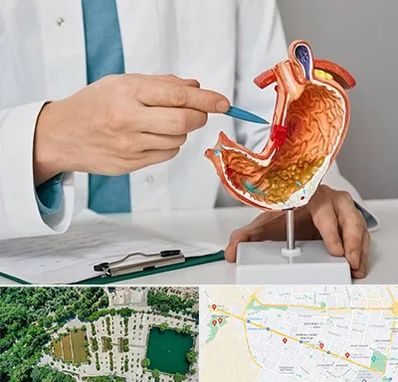 دکتر سرطان معده در وکیل آباد مشهد 