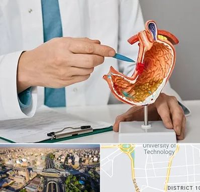 دکتر سرطان معده در استاد معین 