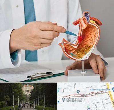 دکتر سرطان معده در بلوار معلم رشت 