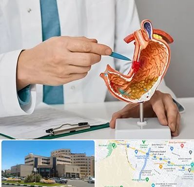 دکتر سرطان معده در صیاد شیرازی مشهد 