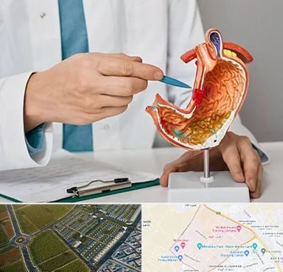 دکتر سرطان معده در الهیه مشهد 