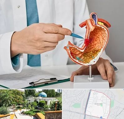 دکتر سرطان معده در باغمیشه تبریز