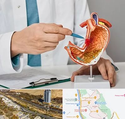 دکتر سرطان معده در خیابان نیایش شیراز 