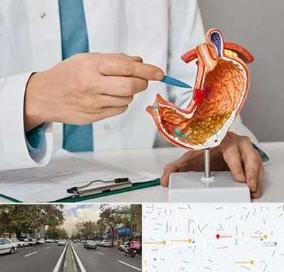 دکتر سرطان معده در دولت 