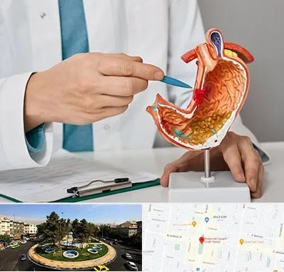 دکتر سرطان معده در هفت حوض 