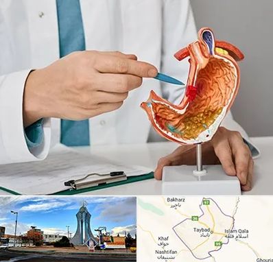 دکتر سرطان معده در تایباد
