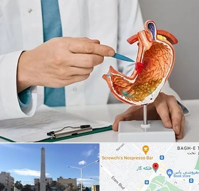 دکتر سرطان معده در فلکه گاز شیراز 