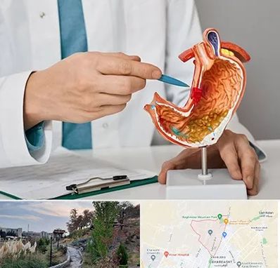 دکتر سرطان معده در باغستان کرج 