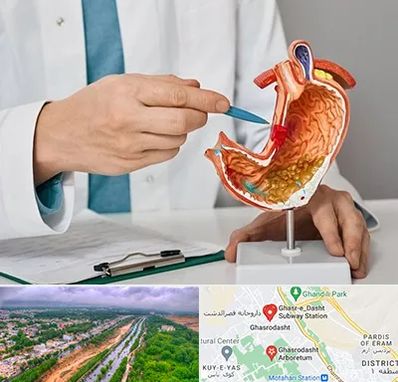 دکتر سرطان معده در قصرالدشت شیراز 