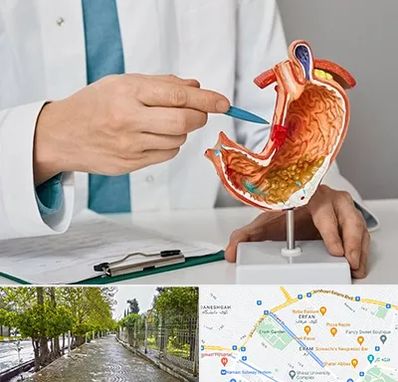 دکتر سرطان معده در خیابان ارم شیراز 