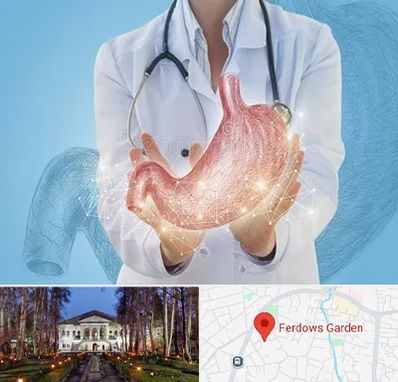 جراح سرطان معده در باغ فردوس