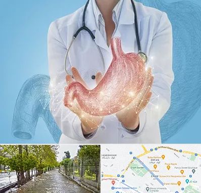 جراح سرطان معده در خیابان ارم شیراز 