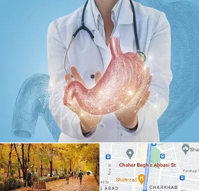 جراح سرطان معده در چهارباغ اصفهان 