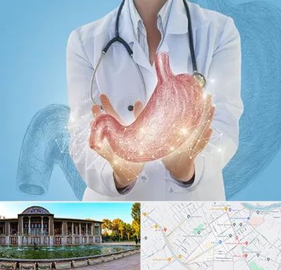 جراح سرطان معده در عفیف آباد شیراز 