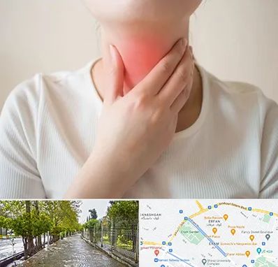 دکتر سرطان مری در خیابان ارم شیراز 