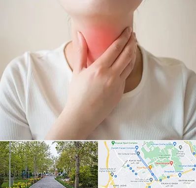 دکتر سرطان مری در قدوسی غربی شیراز 