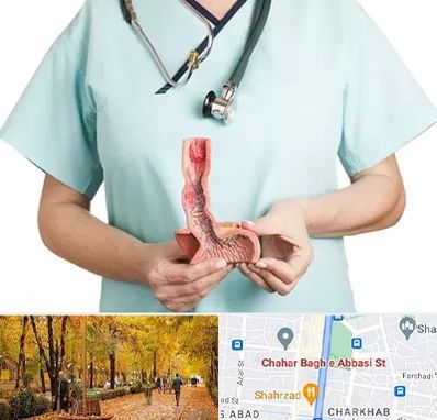 جراح سرطان مری در چهارباغ اصفهان 