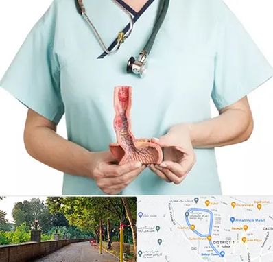 جراح سرطان مری در فلکه گاز رشت 