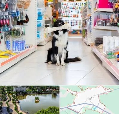 پت شاپ در لنگرود