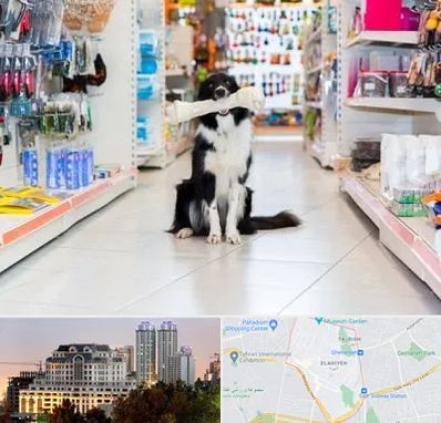 پت شاپ در فرشته