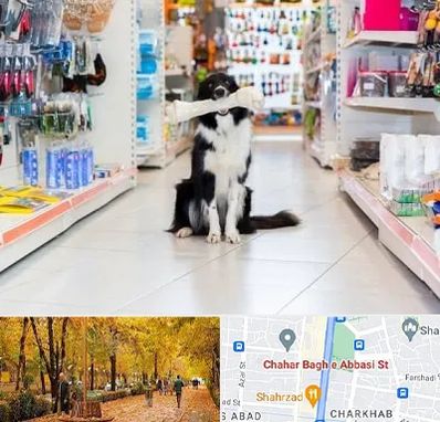 پت شاپ در چهارباغ اصفهان