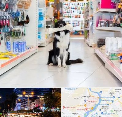 پت شاپ در کیانپارس اهواز