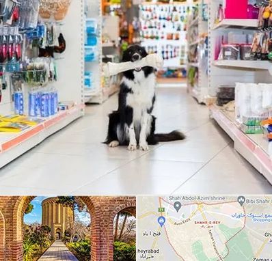 پت شاپ در شهر ری