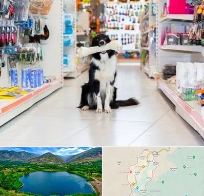 پت شاپ در رودبار