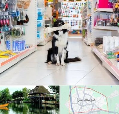 پت شاپ در صومعه سرا